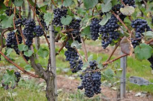 The calm before the storm