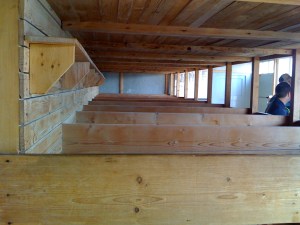 No rights, no dignity, no possessions