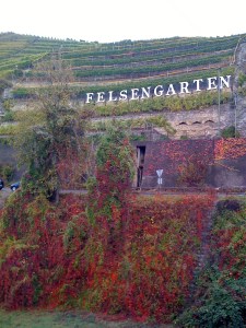 IMG_2174 Nature's graffiti