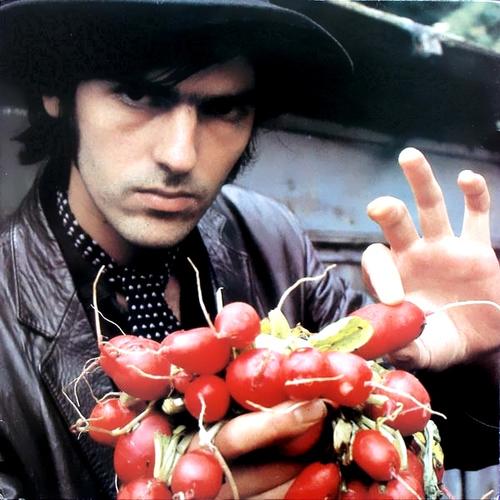 Robyn+Hitchcock+Robyn_Hitchcock2