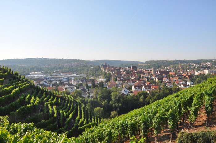 View of the village from the top of the vineyards, mom's house in the middle