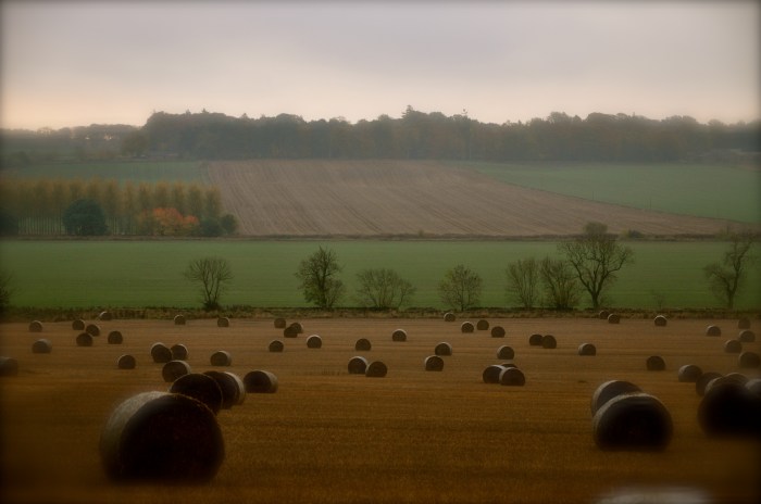 Kinblethmont estate, outside of Arbroath, Angus, Scotland