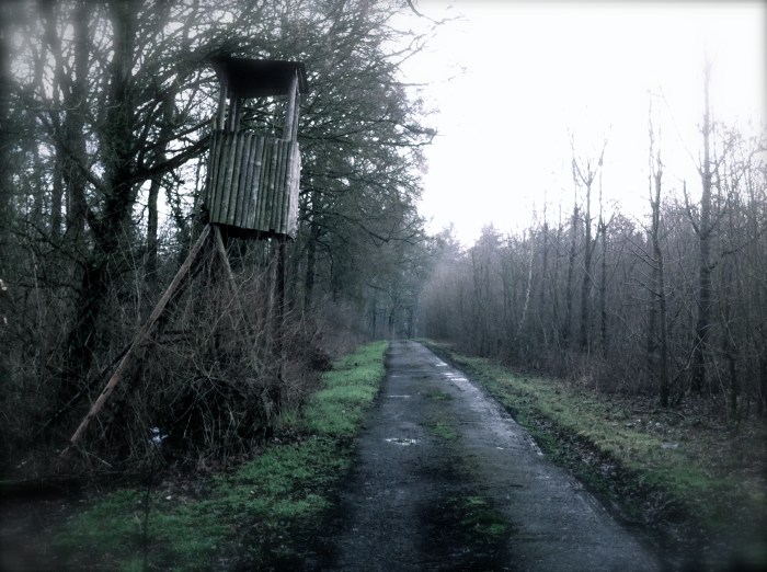 Above the vineyards, Besigheim