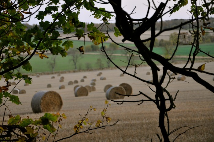 Outside Arbroath, Scotland