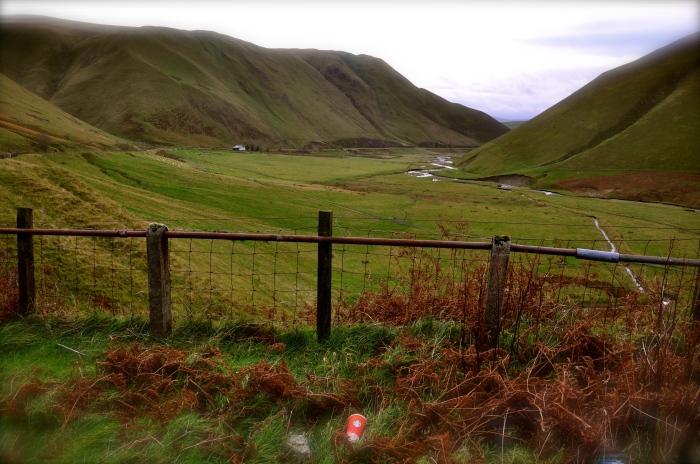Barren, remote edge of the world (SW Scotland) with Starbucks red cup in foreground, November '15.