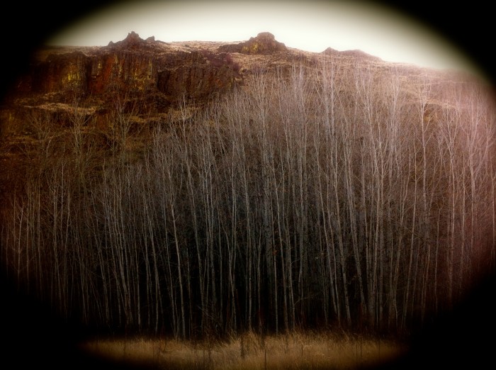 Umtanum Canyon, eastern Washington